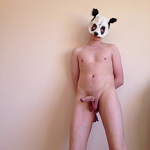 horny panda gallery image