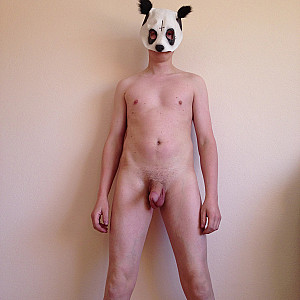 horny panda gallery image