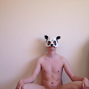 horny panda gallery image