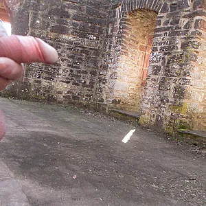 on the castle gallery image