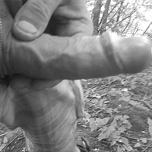 liked to do it gallery image