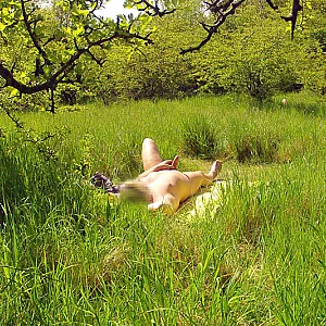 summerpics gallery image
