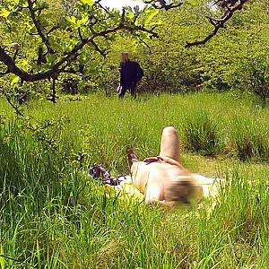 summerpics gallery image