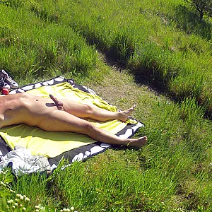 summerpics gallery image