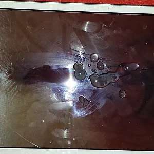 my cock gallery image