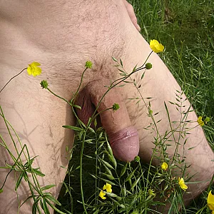 springtime gallery image
