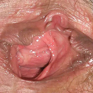 Fill my pussy!! Galeriebild