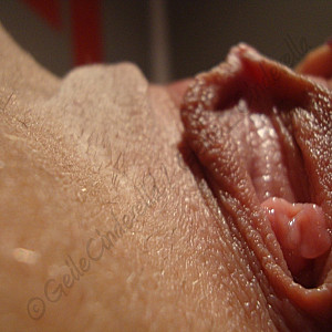 Who wants to lick that? gallery image