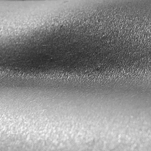 Bodyparts gallery image