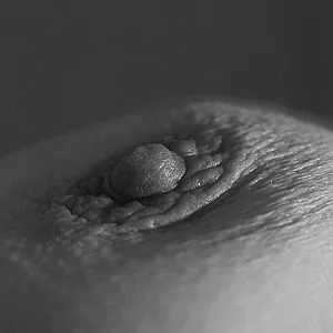 Bodyparts gallery image