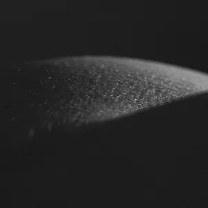 Bodyparts gallery image