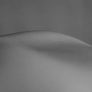 Bodyparts gallery image