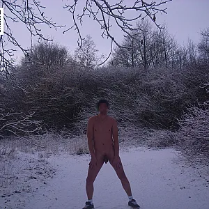 winterwalk part 2 gallery image