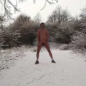 winterwalk part 2 gallery image