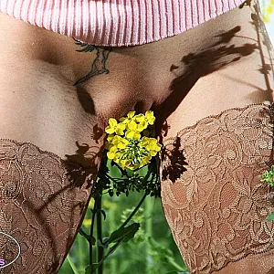 Iris & Blossoms gallery image