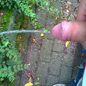 unser er Galeriebild