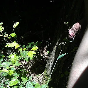 again outdoors gallery image