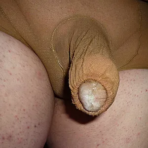 Nylonhöschen mit Penishülle Galeriebild