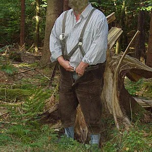 In the woods gallery image