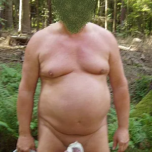 In the woods gallery image