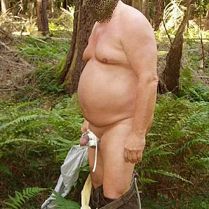 In the woods gallery image