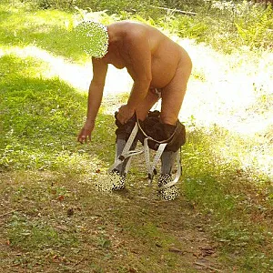 In the woods gallery image