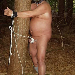 First image of ressip53's Gallery - The Guy at the tree
