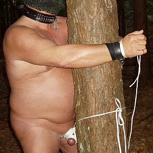 The Guy at the tree gallery image