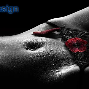 Neue Shootings Galeriebild
