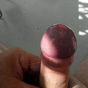 horny in the sun gallery image