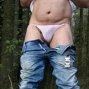 Im Wald Galeriebild