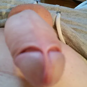 mein kleiner schwanz Galeriebild