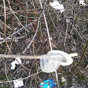 Badeanzug Galeriebild