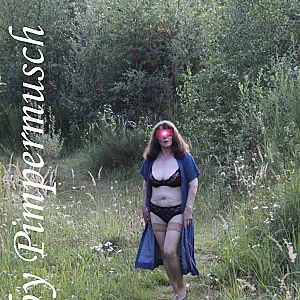 Im Anflug 6 Galeriebild