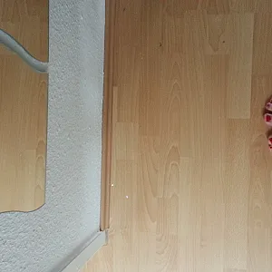 my feeds and shoes gallery image