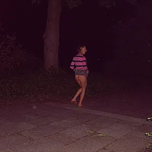 sommer Galeriebild