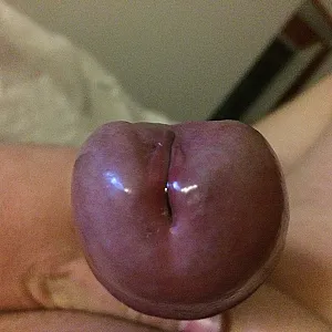 my horny cock gallery image