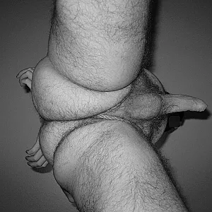 Bondage gallery image