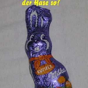 Warum schmunzelt der Hase? Galeriebild