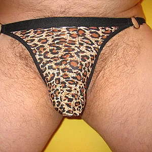 tiger gallery image