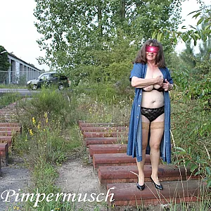 Im Anflug 9 Galeriebild