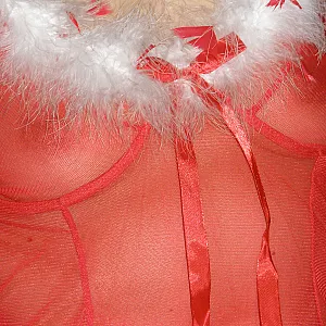 Santa's wife gallery image