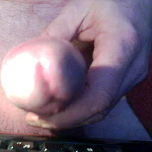 Pralle Eier und dicken Schwanz Galeriebild