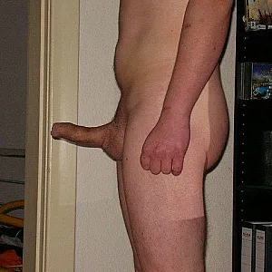 Mein Schwanz Galeriebild