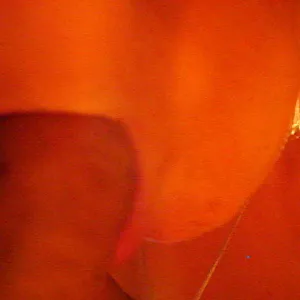 blowjob gallery image