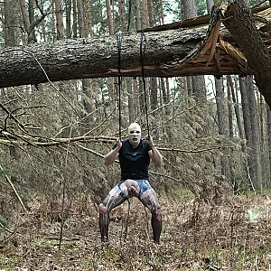 wet walk in the woods gallery image