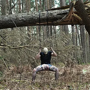 wet walk in the woods gallery image