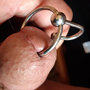 First image of f-rank's Gallery - pierced dick