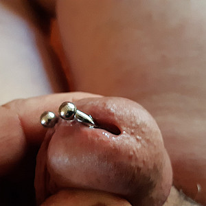 pierced dick gallery image