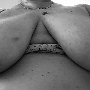 Titpig gallery image